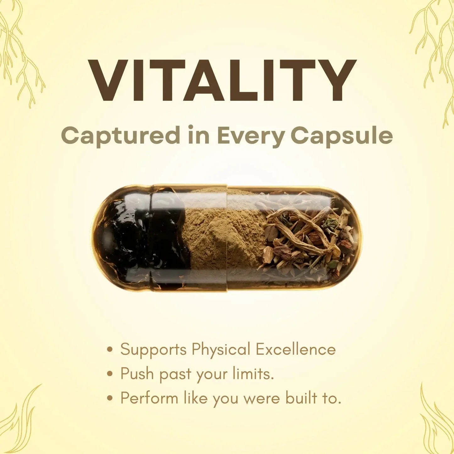 RootFire – Men’s Wellness Capsules | Embera Herbs - Embera Herbs
