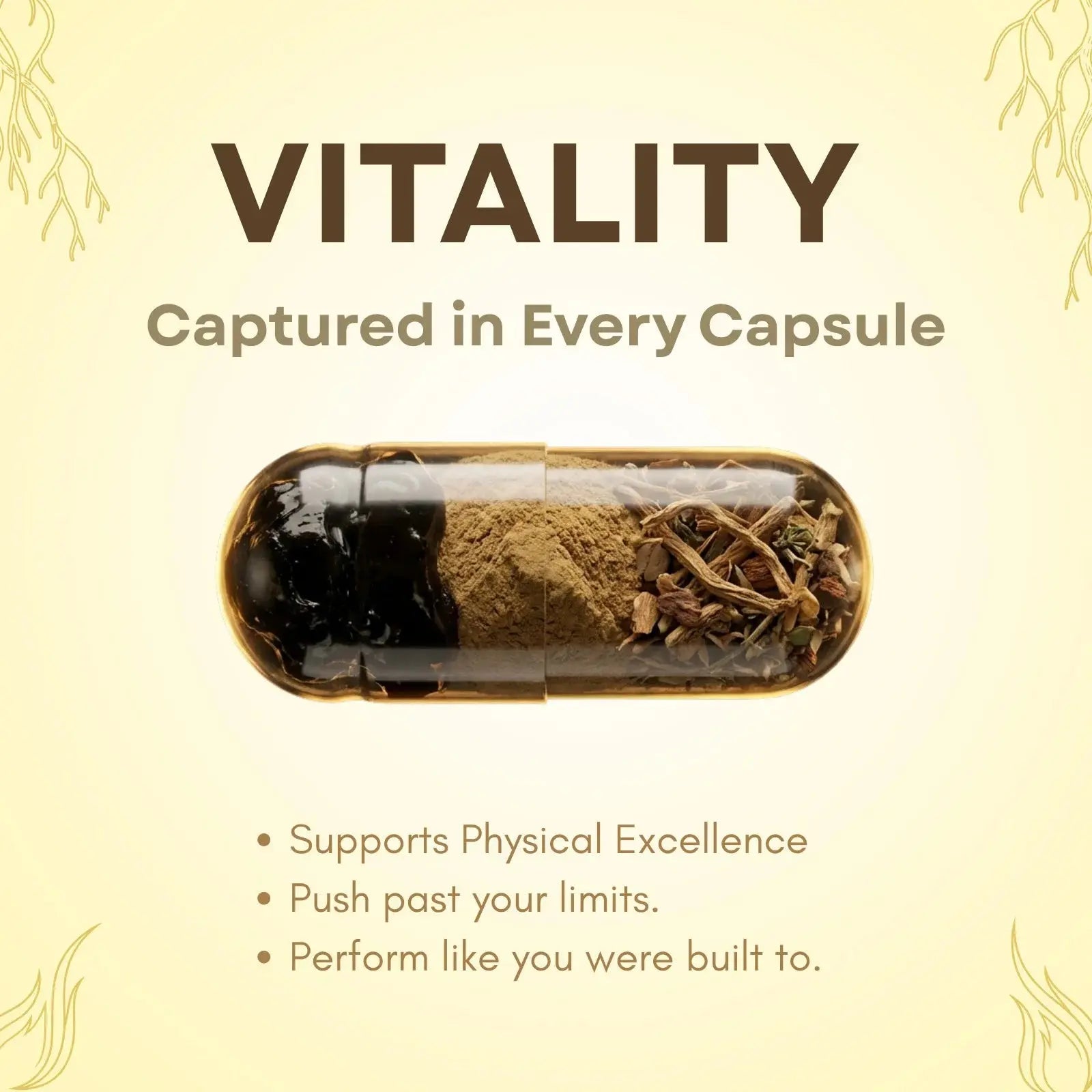 RootFire – Men’s Wellness Capsules | Embera Herbs - Embera Herbs